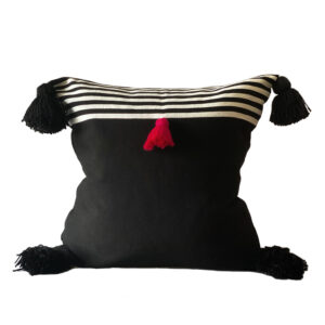 Damián Stripe, Black and White Pillow 20"x20"